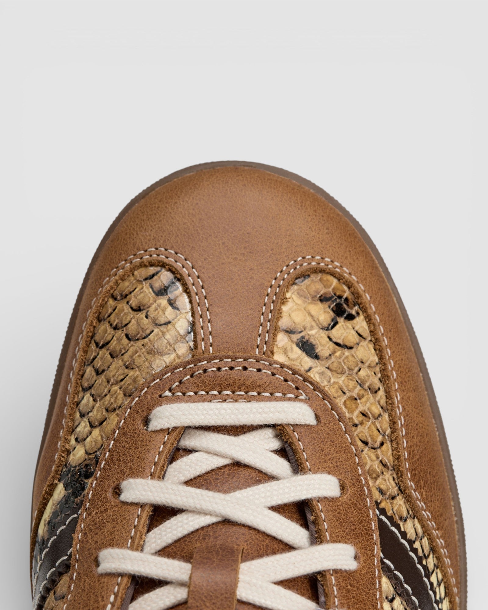 adidas Originals by Wales Bonner Gazelle Snake
